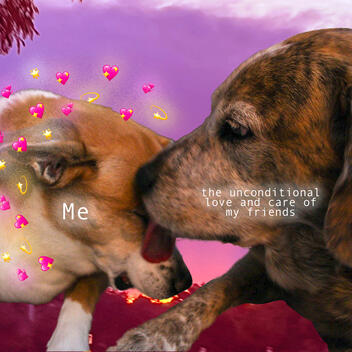 Meme 2; "Friends Furever"