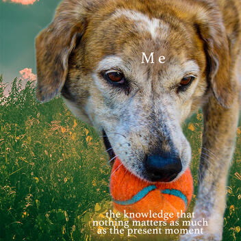 Meme 1; &quot;Ace&quot;