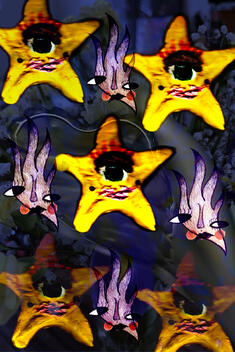 &quot;The Star&quot;