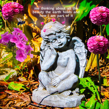 Meme 3; &quot;Beauty&quot;